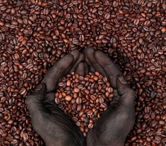 5 Reasons to Try Haitian Coffee